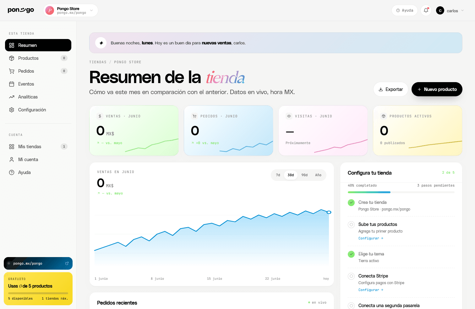Pongo seller dashboard — store overview